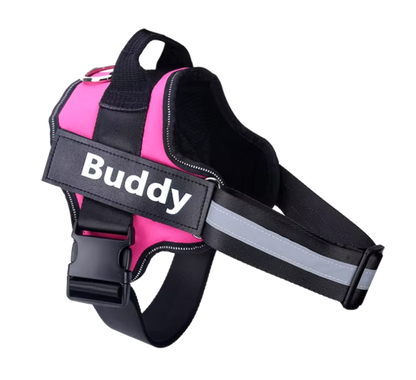 PetArium™ Personalized NO PULL Dog Harness